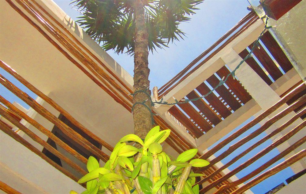 Latino Boutique 3* Tulum